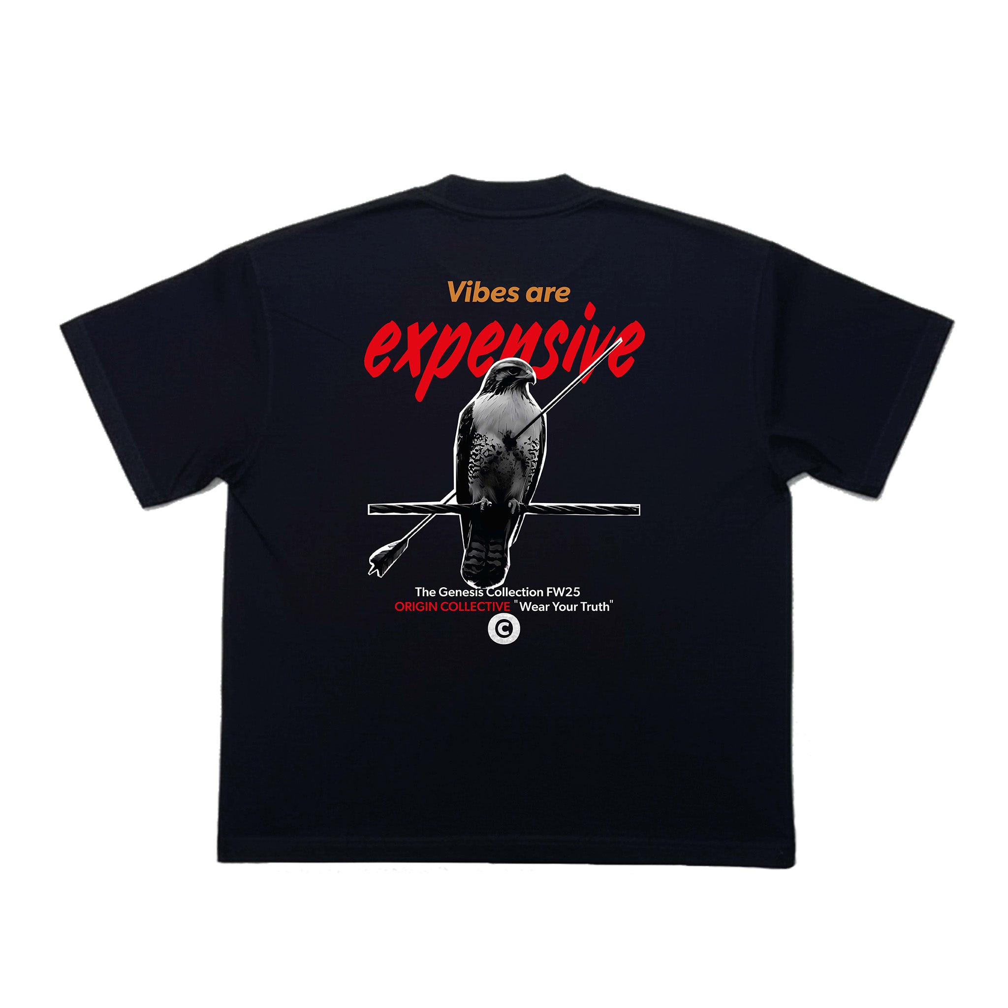 Vibes Are Expensive | Playera Oversize 280 GSM en Negro