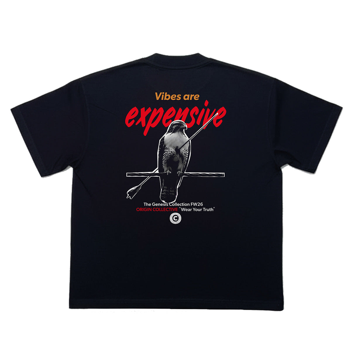 Vibes Are Expensive | Playera Oversize 280 GSM en Negro